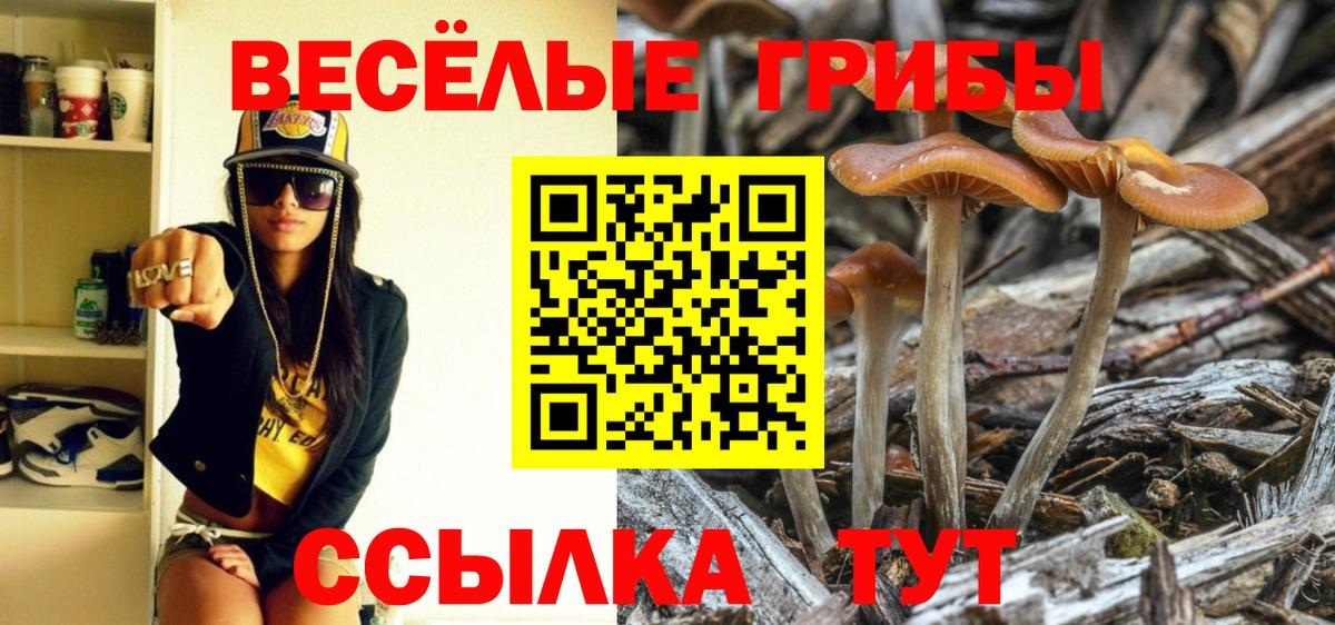 Губкинский  Псилоцибиновые грибы мицелий  Вход с VPN 